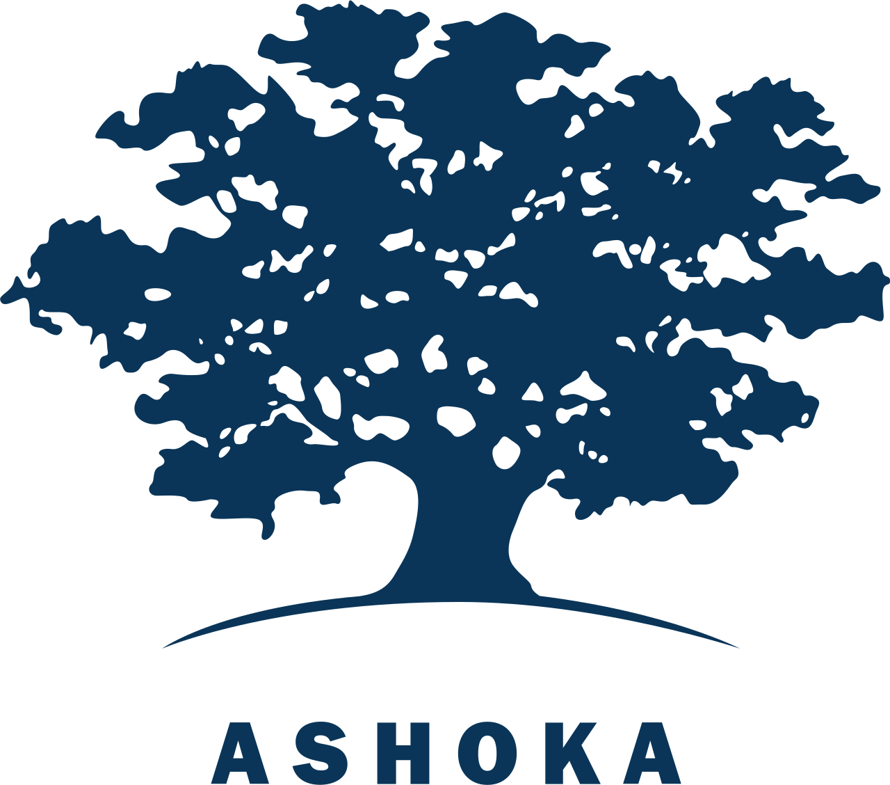 Ashoka Innovators for the public Bengaluru